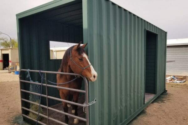 Shipping container horse barns, Container Horse Barn,
