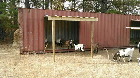 Livestock Container Farm, Container Farm,